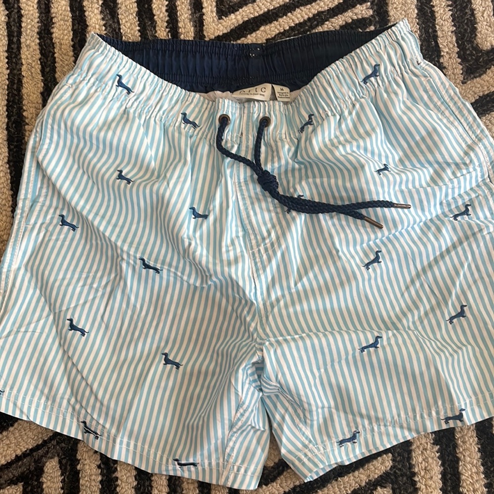 Mens bathing suit size M light blue stripe